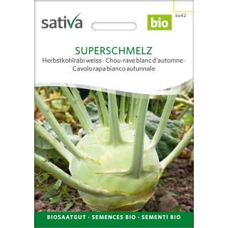 Herbstkohlrabi Superschmelz - Brassica ol. aceph. gongylodes  - BIOSAMEN
