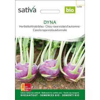 Herbstkohlrabi Dyna - Brassica ol. aceph. gongylodes- BIOSAMEN