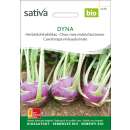 Herbstkohlrabi Dyna - Brassica ol. aceph. gongylodes-...