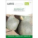 Kürbis Blue Ballet - Cucurbita maxima  - BIOSAMEN