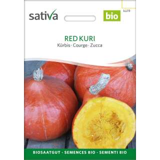 Kürbis Red Kuri - Cucurbita maxima  - BIOSAMEN