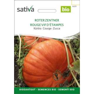 Kürbis Roter Zentner - Cucurbita maxima  - BIOSAMEN