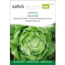 Kopfsalat Freiland Ovation - Lactuca sativa  - BIOSAMEN