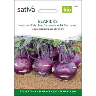 Herbstkohlrabi, blau Blaril - Brassica ol. aceph. gongylodes  - BIOSAMEN