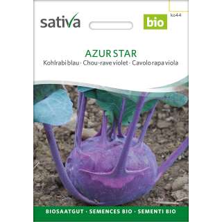 Kohlrabi, blau Azur Star - Brassica ol. aceph. gongylodes  - BIOSAMEN