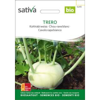 Kohlrabi, weiss Trero - Brassica ol. aceph. gongylodes  -...