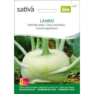 Kohlrabi, weiss Lanro - Brassica ol. aceph. gongylodes  - BIOSAMEN
