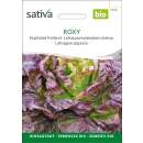Kopfsalat Roxy - Lactuca sativa  - BIOSAMEN