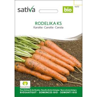 Karotte Rodelika - Daucus carota  - BIOSAMEN