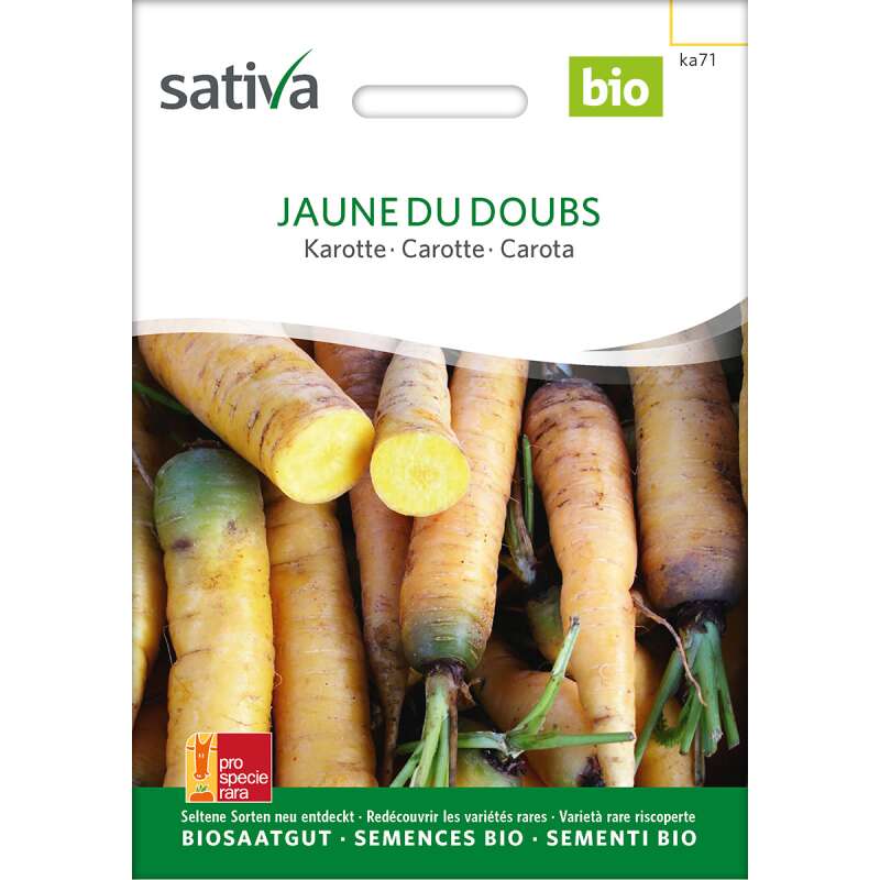 Karotte Longuejaunes du Doubs - Daucus carota- BIOSAMEN