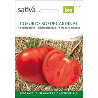 Tomate, Fleischtomate Coeur de Boeuf Cardinal - Lycopersicon esculentum  - BIOSAMEN