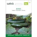 Gurke Bono - Cucumis sativus  - BIOSAMEN