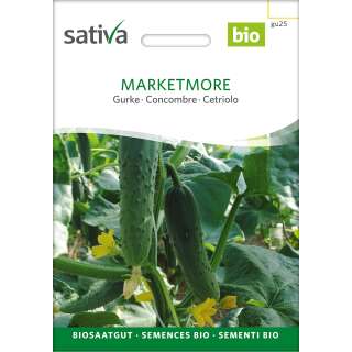 Gurke Marketmore - Cucumis sativus  - BIOSAMEN