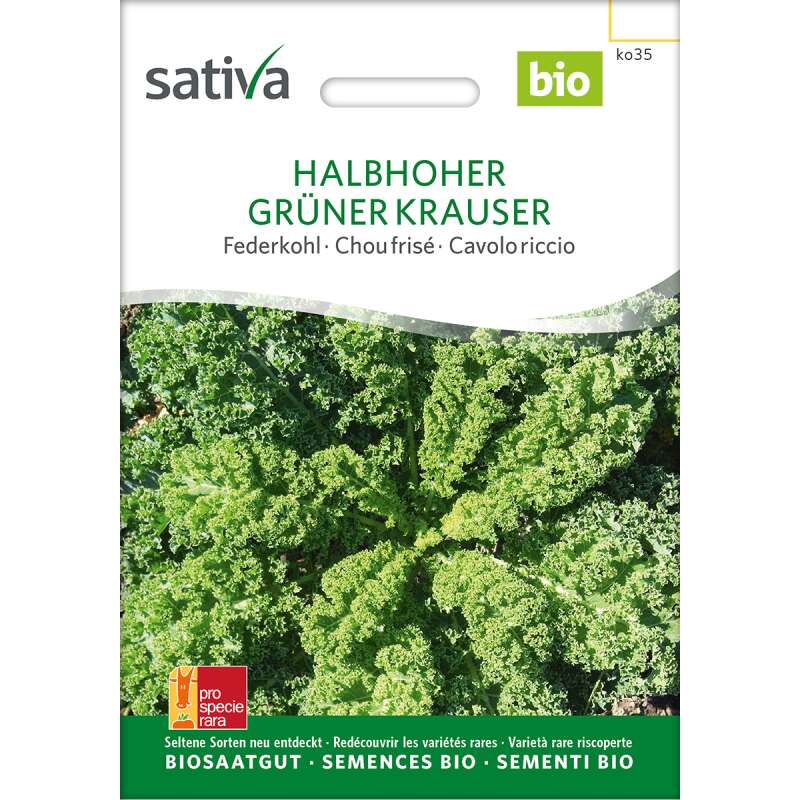 Federkohl, Grünkohl Halbhoher - Brassica ol.acephala sabellica- BIOSAMEN