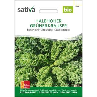 Federkohl, Grünkohl Halbhoher Grüner Krauser - Brassica ol.acephala sabellica- BIOSAMEN