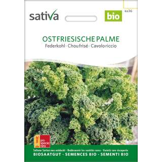 Federkohl, Grünkohl Ostfriesische Palme - Brassica ol.acephala sabellica- BIOSAMEN
