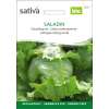 Eissalat Saladin - Lactuca sativa  - BIOSAMEN