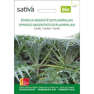 Cardy Argente de Geneve Epineux - Cynara cardunculus - BIOSAMEN