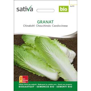 Chinakohl Granaat - Brassica pekinensis  - BIOSAMEN