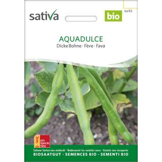 Dicke Bohne, Puffbohne Aqua dulce - Vicia faba major  -...