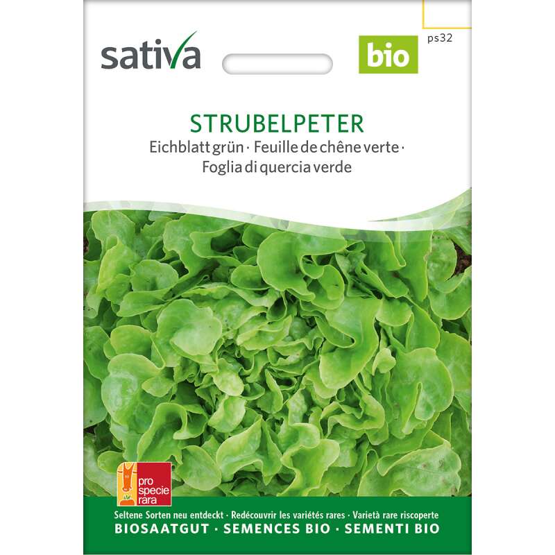 Eichblatt, grün Strubelpeter - Lactuca sativa- BIOSAMEN