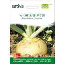 Bodenkohlrabi, Kohlrübe Wilhelmsburger - Brassica...