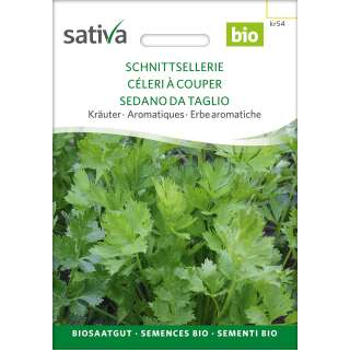 Schnittsellerie - Apium graveolens  - BIOSAMEN