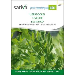 Liebstöckel, Maggikraut - Levisticum officinalis  - BIOSAMEN