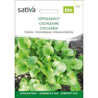 Löffelkraut - Cochlearia officinalis  - BIOSAMEN