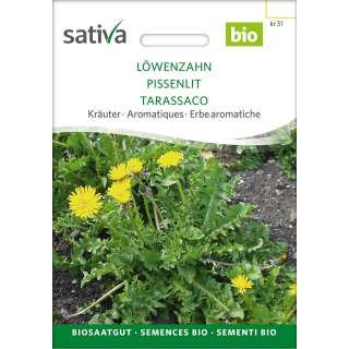 Löwenzahn - Taraxacum officinale  - BIOSAMEN