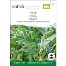 Salbei - Salvia officinalis - BIOSAMEN