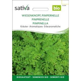 Wiesenknopf, Pimpinelle - Sanguisorba minor  - BIOSAMEN