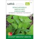 Gartenmelde, grüne - Atriplex hortensis - BIOSAMEN