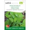 Gartenmelde, grüne - Atriplex hortensis - BIOSAMEN