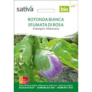 Aubergine Rotonda sfumata - Solanum melongena - BIOSAMEN