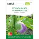 Aubergine Rotonda sfumata - Solanum melongena - BIOSAMEN
