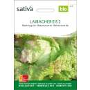 Batavia Laibacher Eis - Lactuca sativa- BIOSAMEN