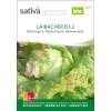 Batavia Laibacher Eis - Lactuca sativa- BIOSAMEN