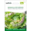 Batavia rot Maravilla de Verano - Lactuca sativa  - BIOSAMEN