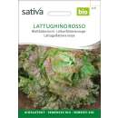 Blattbatavia rot Lattughino - Lactuca sativa  - BIOSAMEN