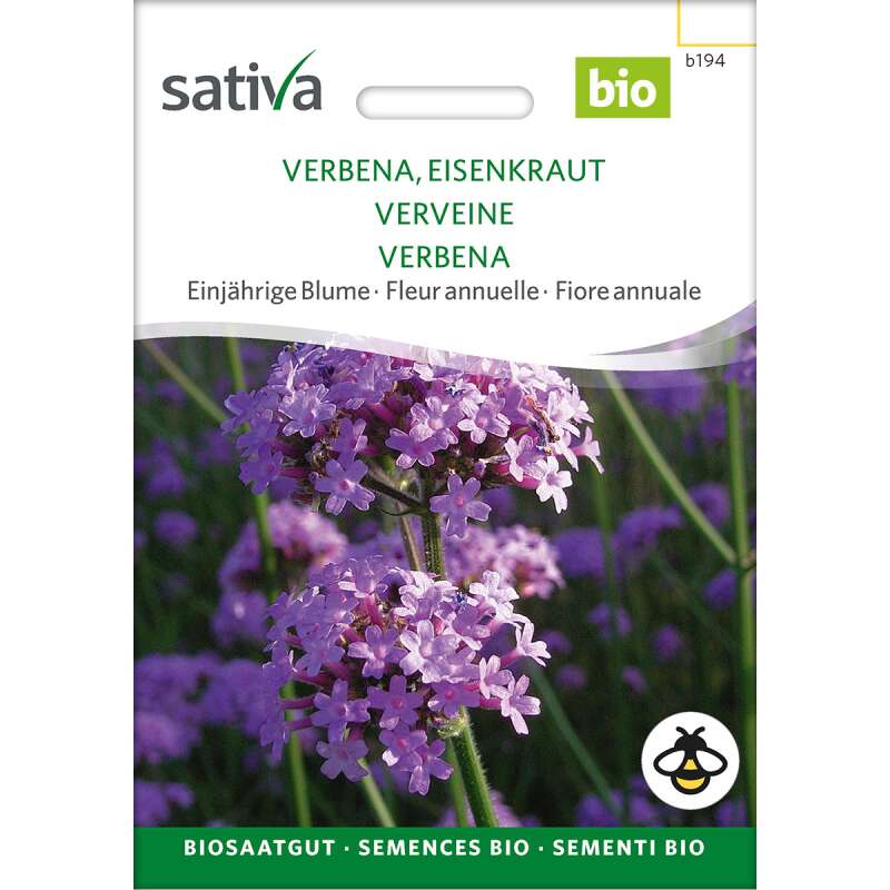 Eisenkraut, Verbene - Verbena bonariensis  - BIOSAMEN