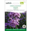 Eisenkraut, Verbene - Verbena bonariensis  - BIOSAMEN