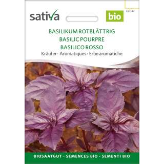 Basilikum (rotblättrig)  - Ocimum basilicum  - BIOSAMEN