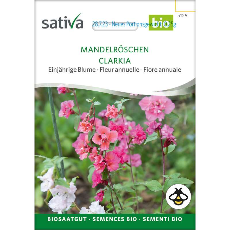 Mandelröschen - Clarkia unguiculata - BIOSAMEN