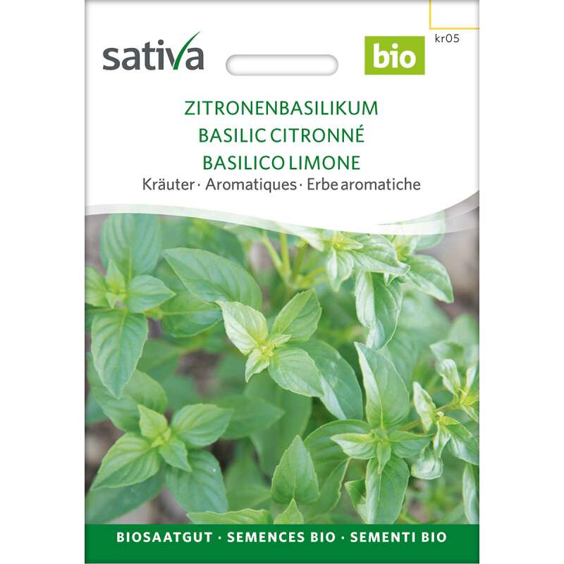 Basilikum, Zitronenbasilikum - Ocimum basilicum - BIOSAMEN
