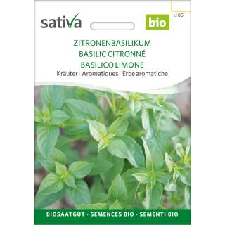 Basilikum, Zitronenbasilikum - Ocimum basilicum - BIOSAMEN