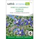 Borretsch, Gurkenkraut - Borago officinalis  - BIOSAMEN