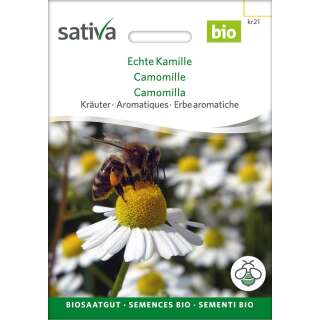 Camomille - Matricaria chamomilla - graines biologiques