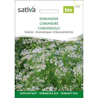 Koriander, kleinfrüchtiger - Coriandrum sativum  -...