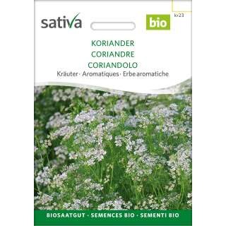 Koriander, kleinfrüchtiger - Coriandrum sativum  - BIOSAMEN